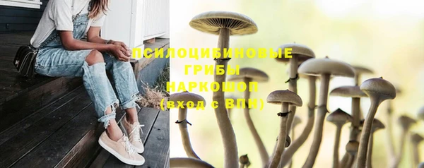 трава Богданович