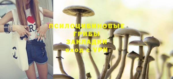 гашик Богородск