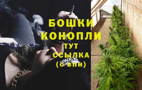 гашик Богородск