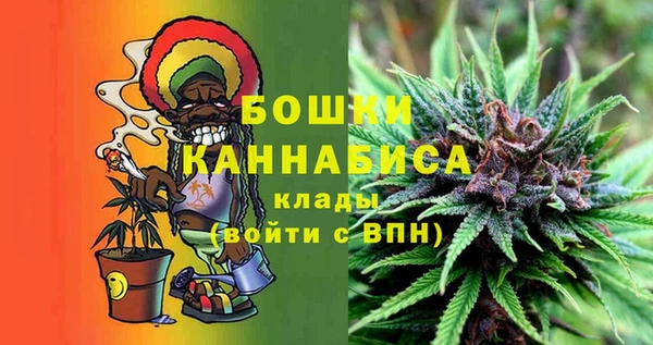 гашик Богородск