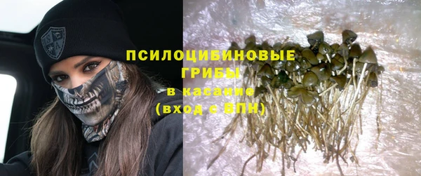 гашик Богородск