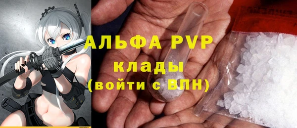 гашик Богородск