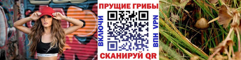 Галлюциногенные грибы Magic Shrooms  Ижевск 