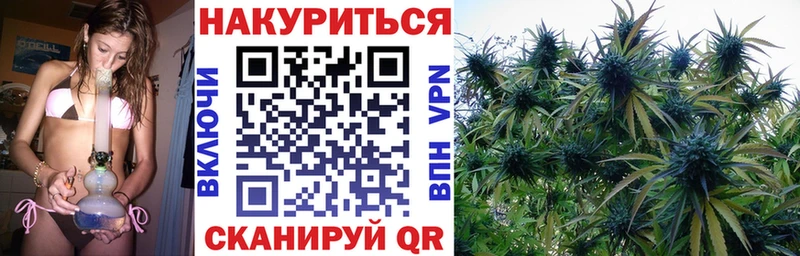Каннабис планчик  как найти наркотики  ОМГ ОМГ вход  Ижевск 